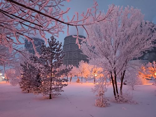 Фото пресс-службы СГК